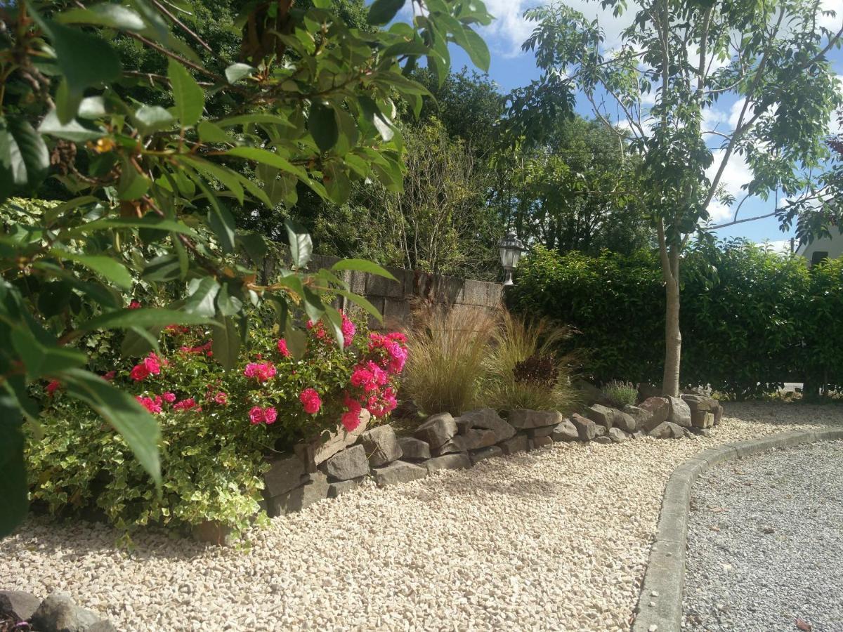 Foxhollow House Blarney Exterior foto