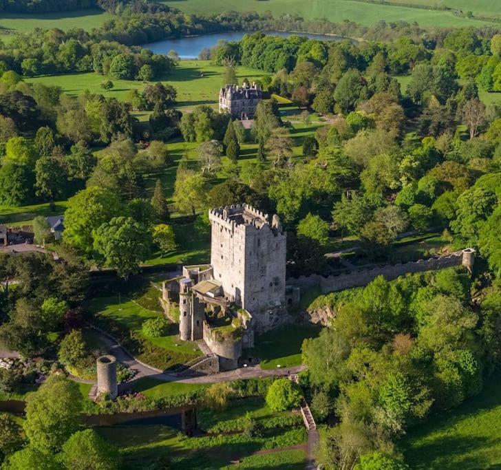 Foxhollow House Blarney Exterior foto