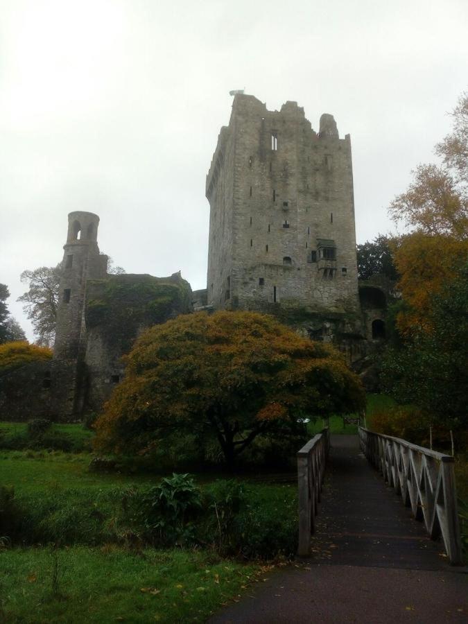 Foxhollow House Blarney Exterior foto